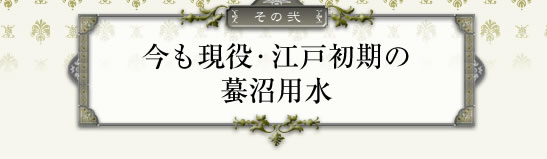 今も現役・江戸初期の蟇沼用水