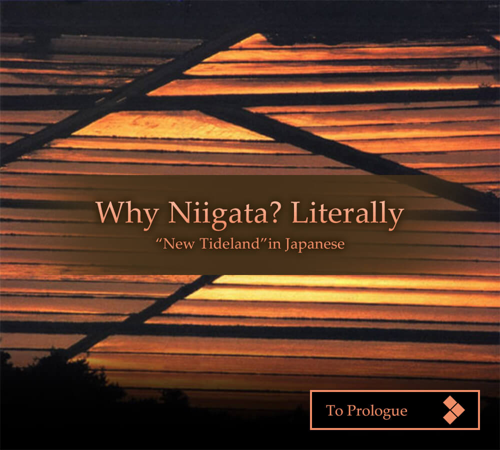 Why Niigata? Literally